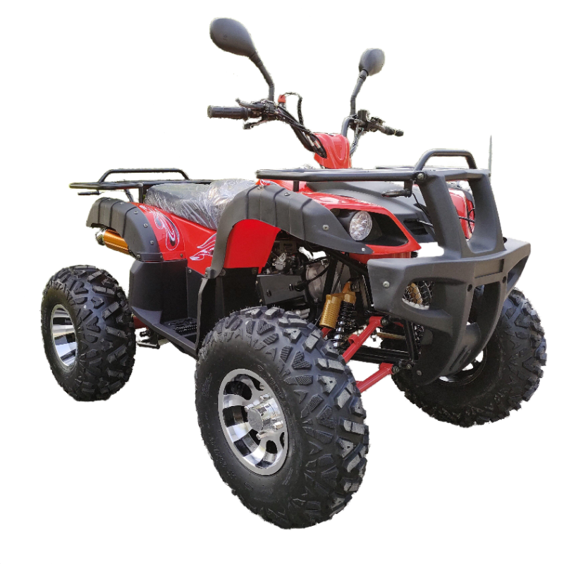 Hot sale model 150cc atv 4X2 2 wheel 4 wheel ATV off road for sale